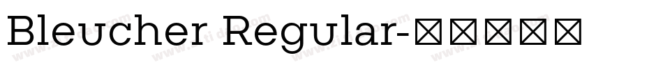 Bleucher Regular字体转换